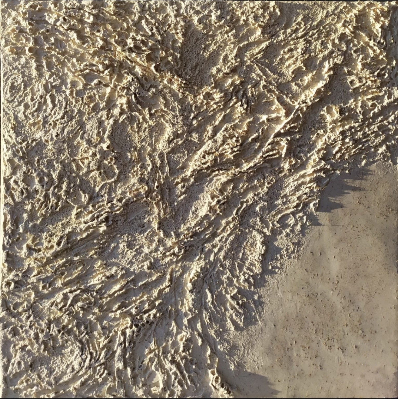 Relieve orgánico de SHIZENNO con ramificaciones y zonas lisas